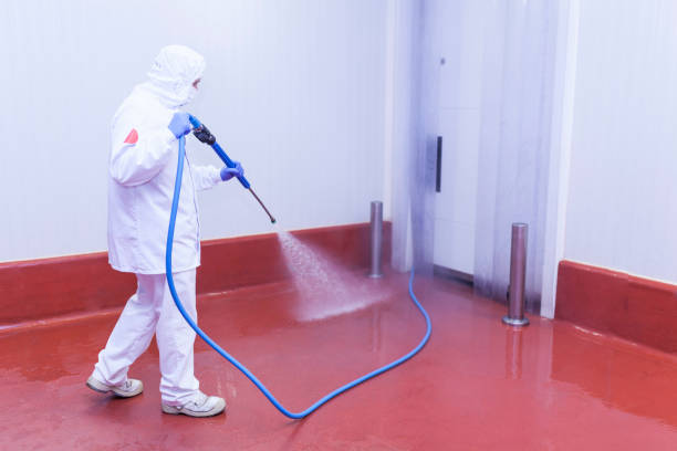 Best Winterizing Services  in Meridian, CO