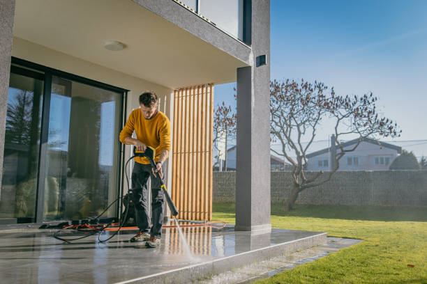 Best Pre-Holiday Cleaning  in Meridian, CO